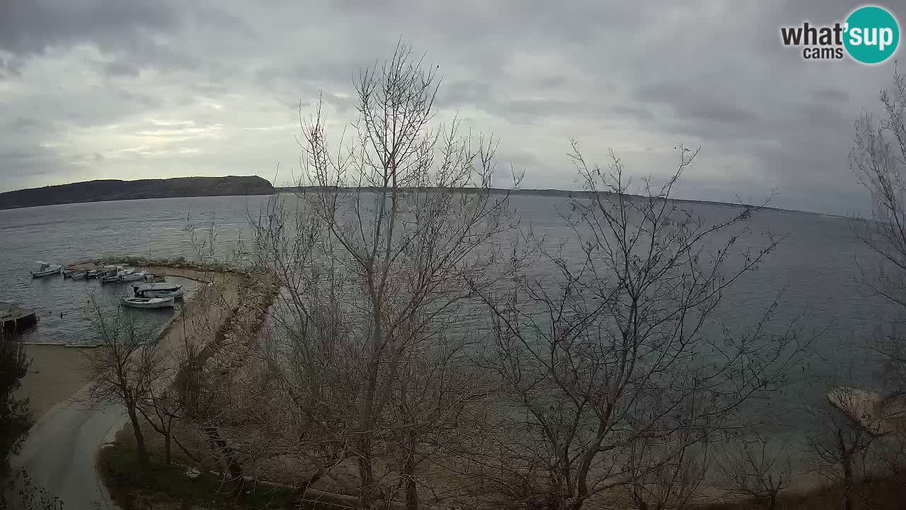 Kamp Odmoree spletna kamera Ražanac – Dalmacija