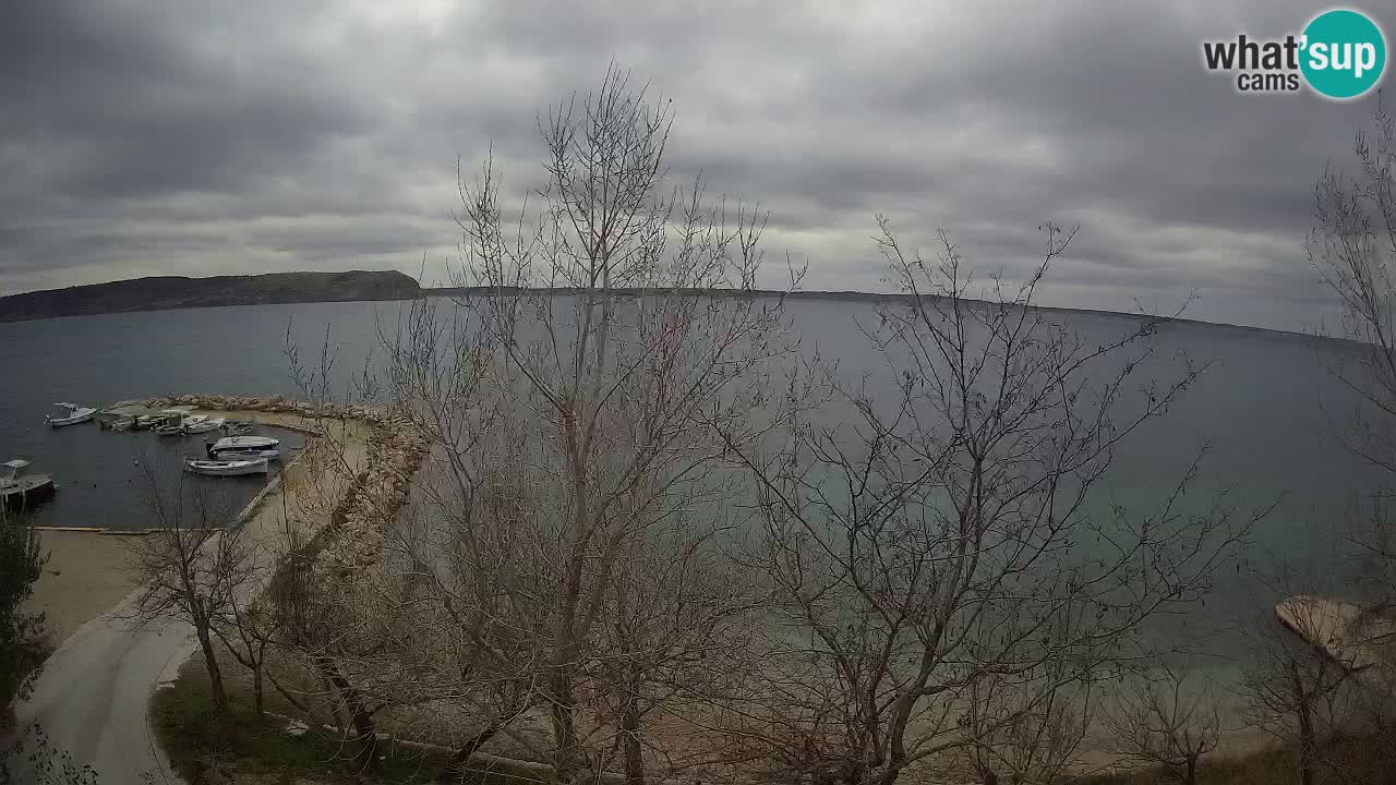 Camping Odmoree camera en vivo Ražanac – Dalmacia