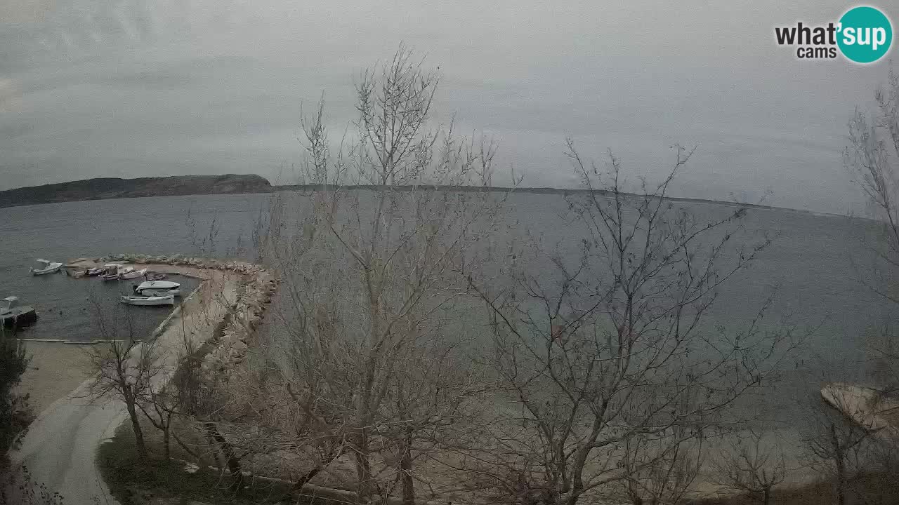 Camping Odmoree camera en vivo Ražanac – Dalmacia