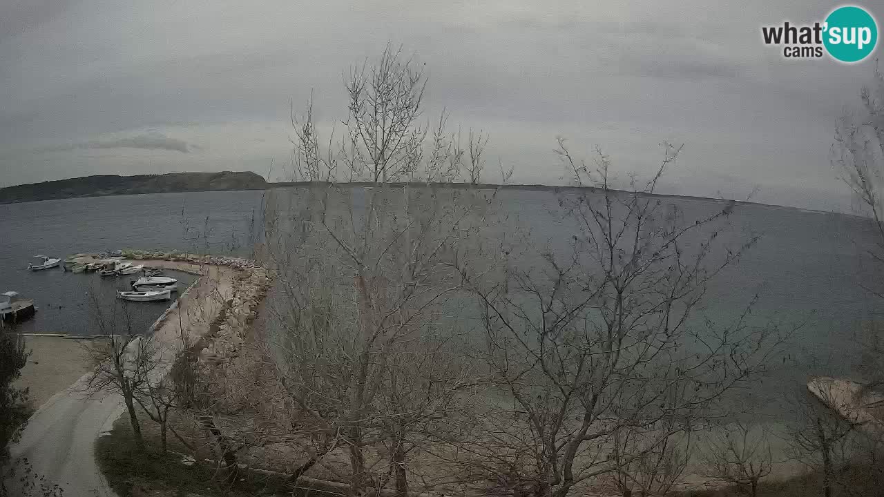 Camping Odmoree camera en vivo Ražanac – Dalmacia