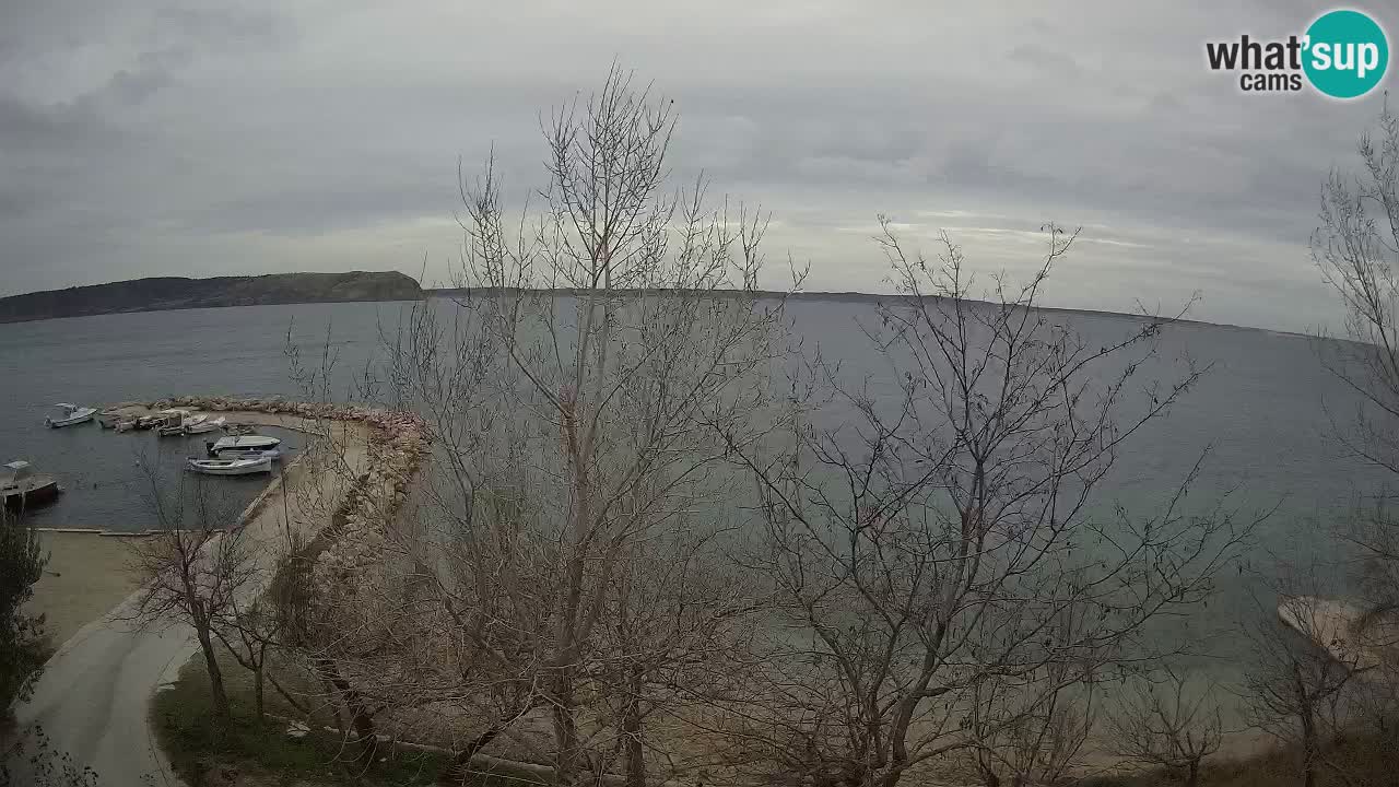 Camping Odmoree camera en vivo Ražanac – Dalmacia