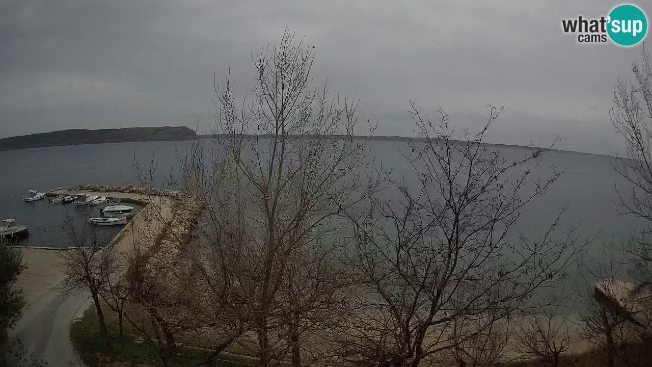 Kamp Odmoree spletna kamera Ražanac – Dalmacija