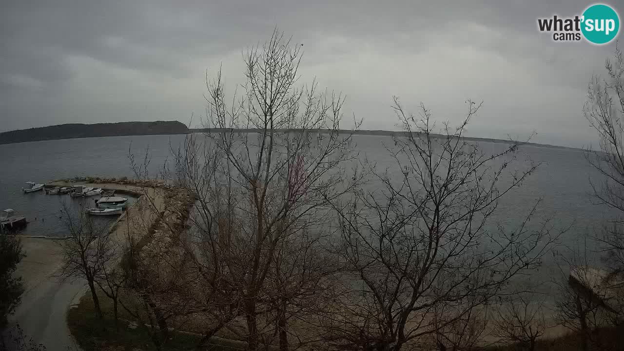 Kamp Odmoree spletna kamera Ražanac – Dalmacija