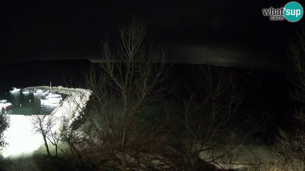 Kamp Odmoree spletna kamera Ražanac – Dalmacija