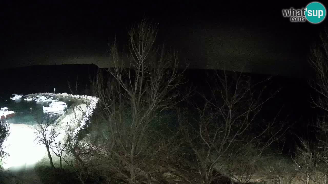 Kamp Odmoree spletna kamera Ražanac – Dalmacija