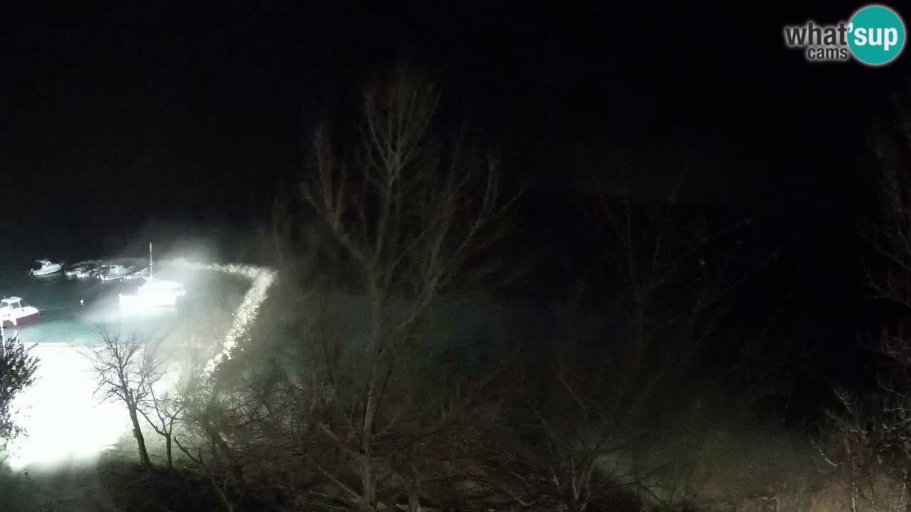 Kamp Odmoree spletna kamera Ražanac – Dalmacija