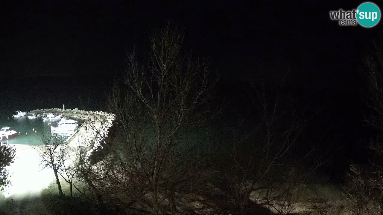 Kamp Odmoree spletna kamera Ražanac – Dalmacija