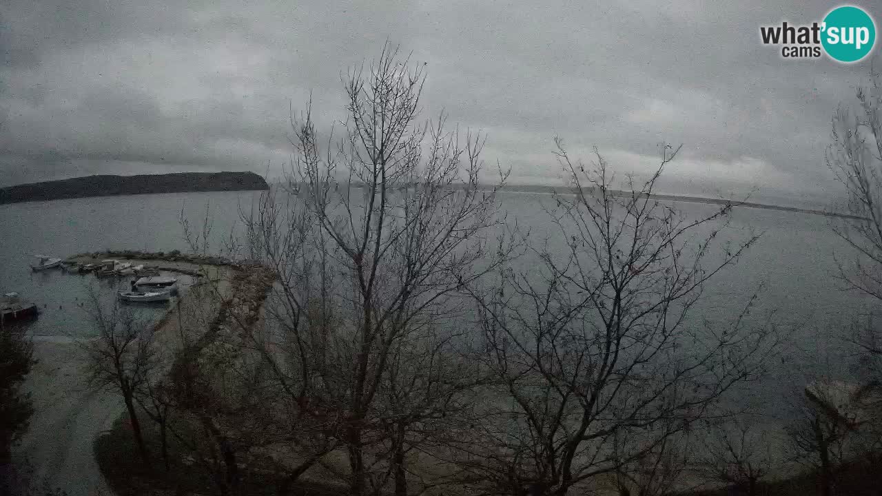 Kamp Odmoree spletna kamera Ražanac – Dalmacija