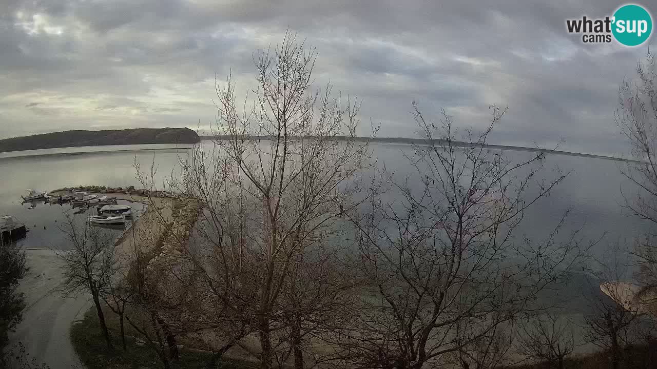 Camping Odmoree webcam Ražanac – Dalmazia