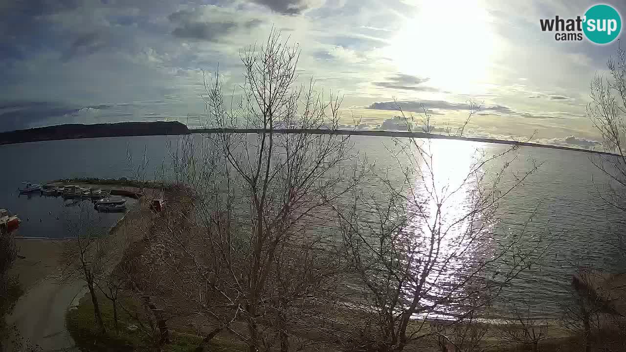 Camping Odmoree webcam Ražanac – Dalmazia