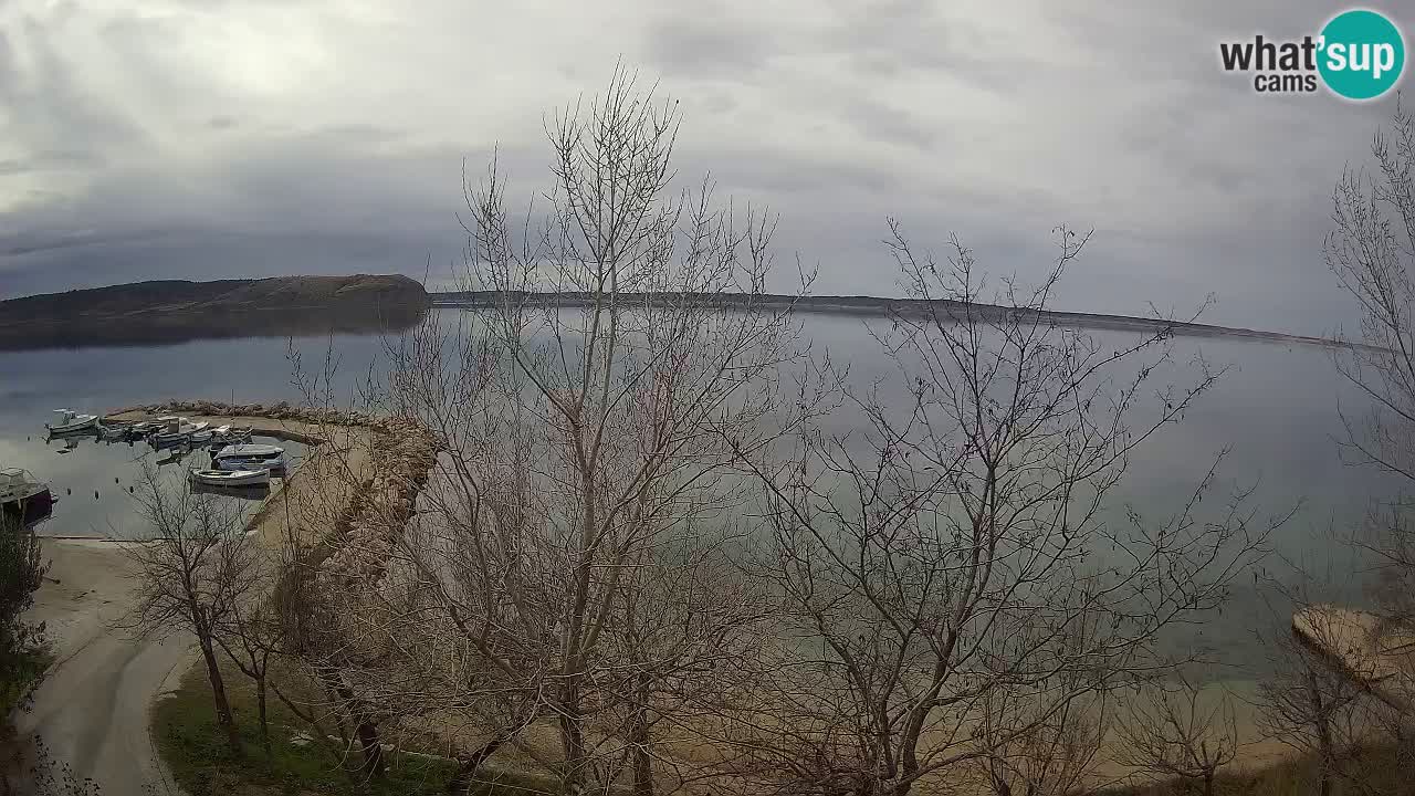 Camping Odmoree live cam Ražanac – Dalmatie