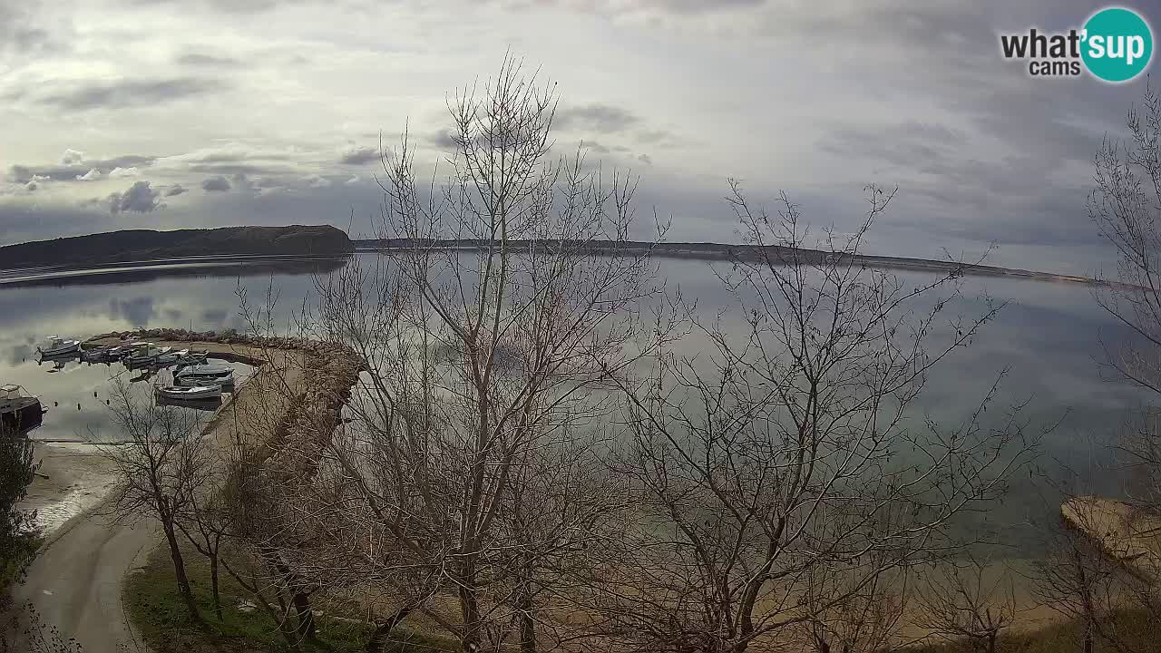 Camping Odmoree camera en vivo Ražanac – Dalmacia