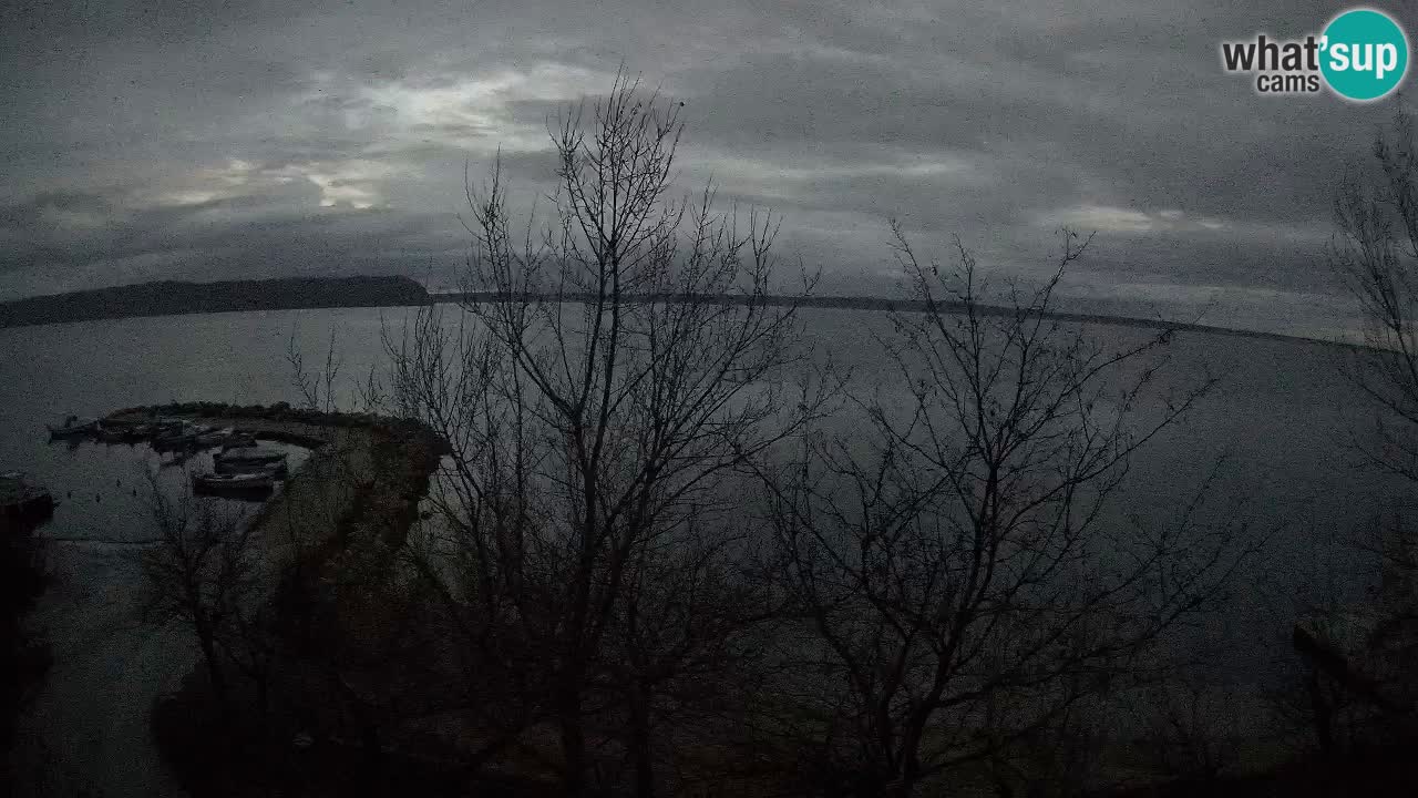 Camping Odmoree camera en vivo Ražanac – Dalmacia