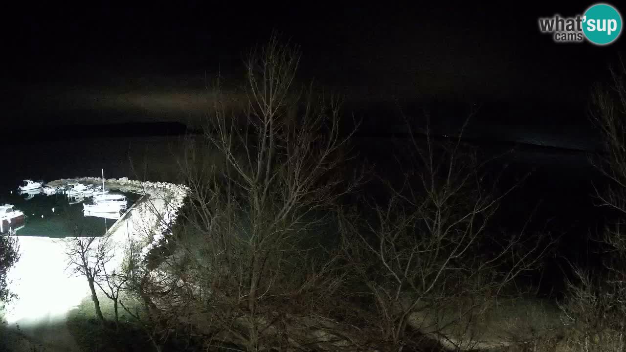 Kamp Odmoree spletna kamera Ražanac – Dalmacija