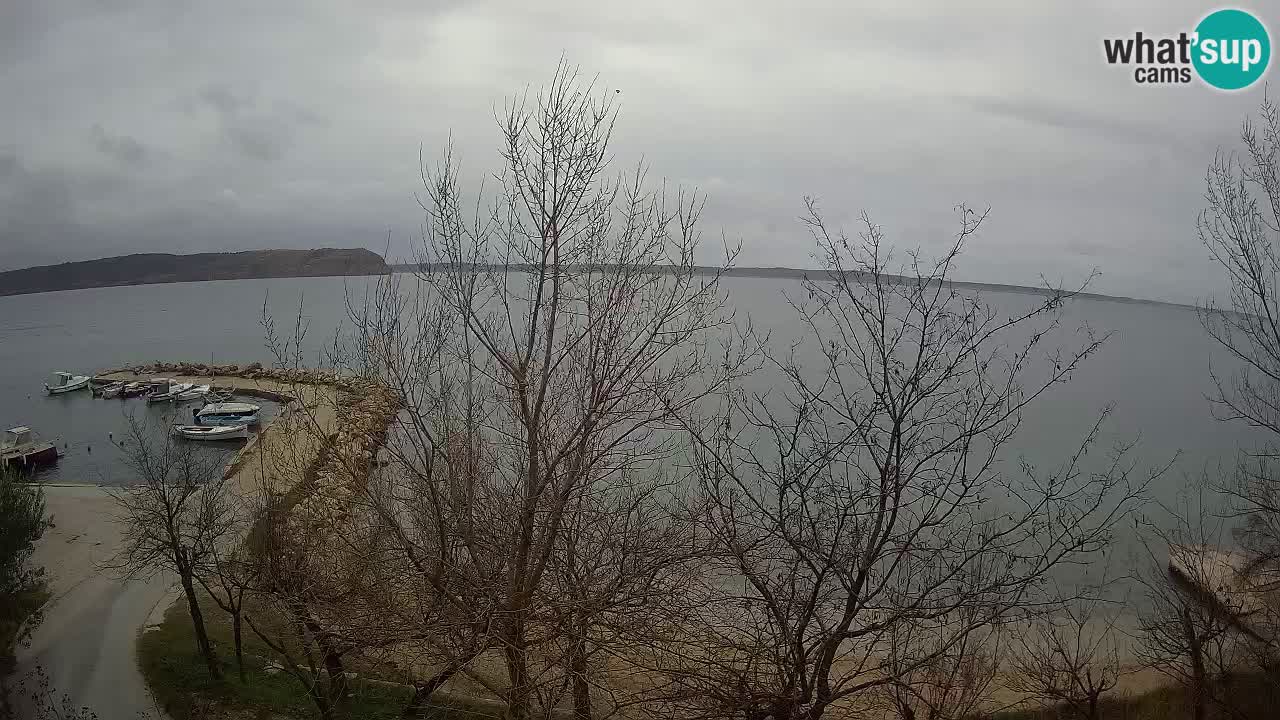 Kamp Odmoree spletna kamera Ražanac – Dalmacija