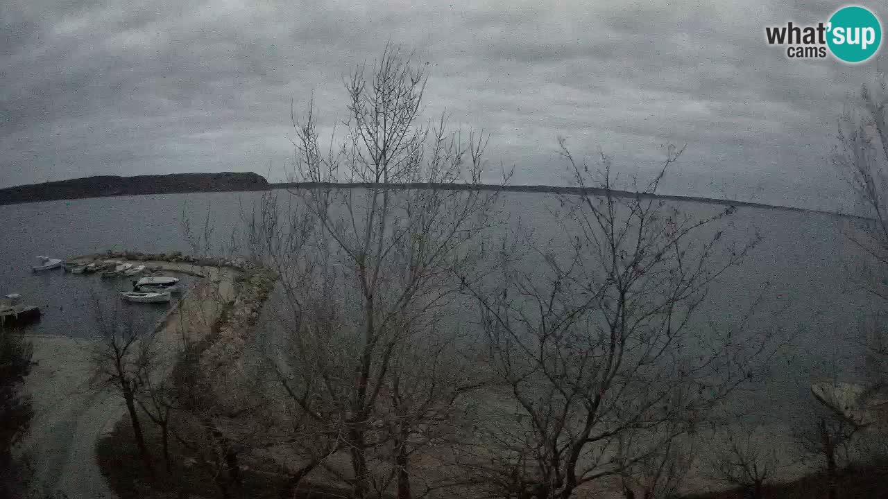 Camping Odmoree web kamera Ražanac – Dalmacija