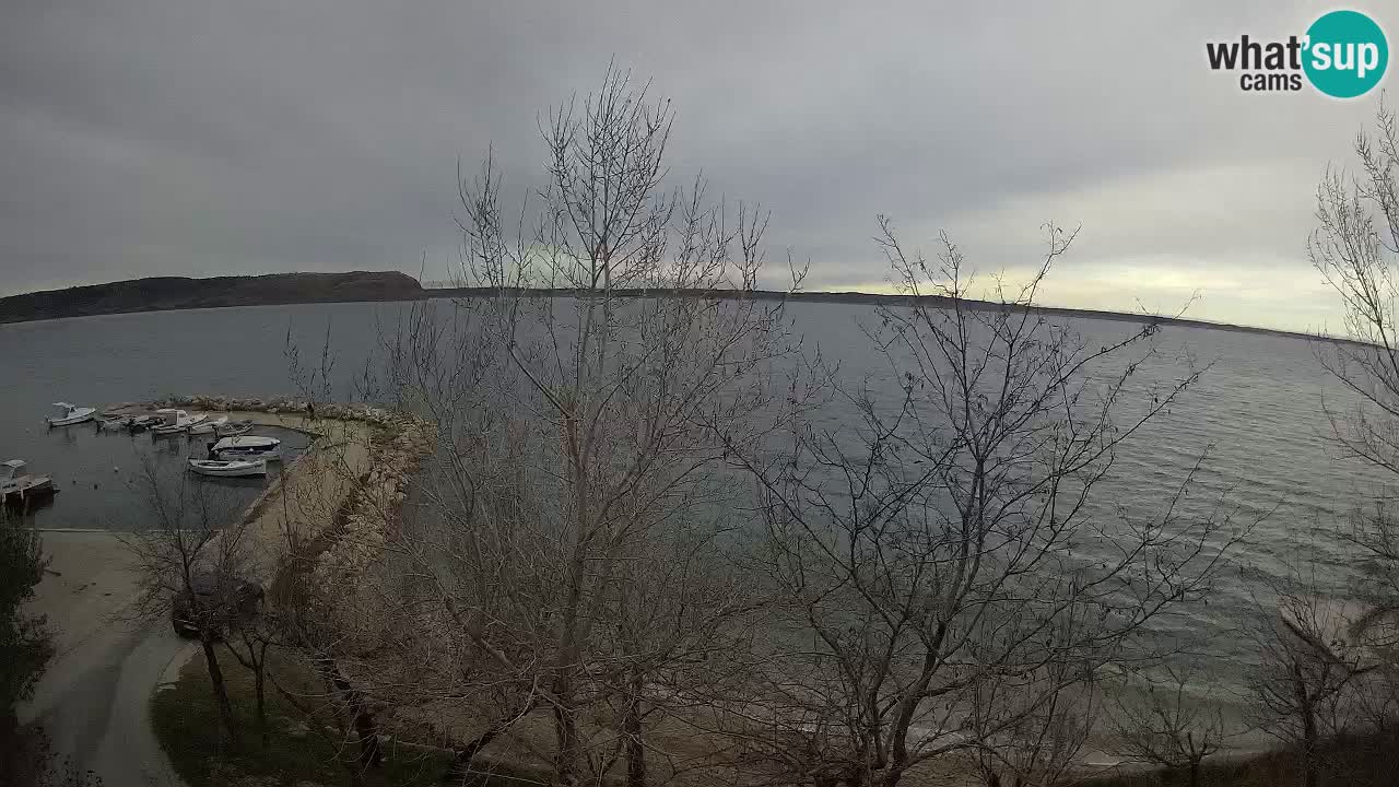 Kamp Odmoree spletna kamera Ražanac – Dalmacija