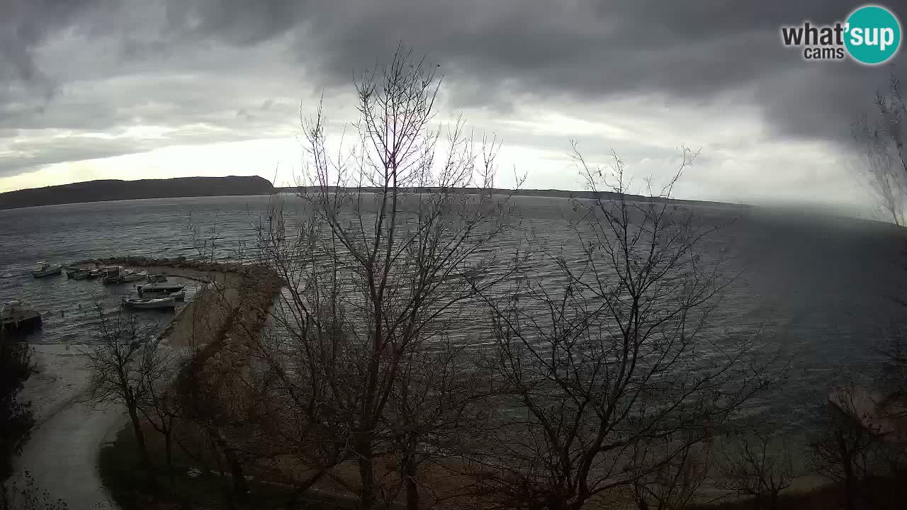 Kamp Odmoree spletna kamera Ražanac – Dalmacija