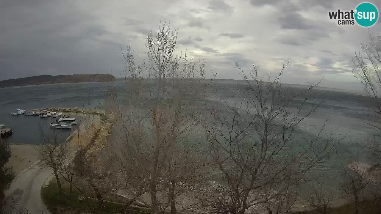 Camping Odmoree web kamera Ražanac – Dalmacija