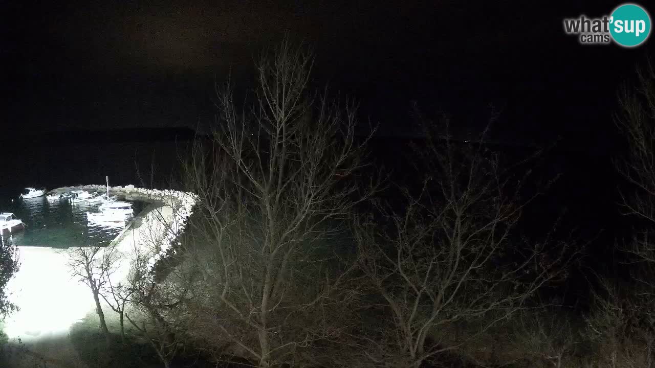 Kamp Odmoree spletna kamera Ražanac – Dalmacija