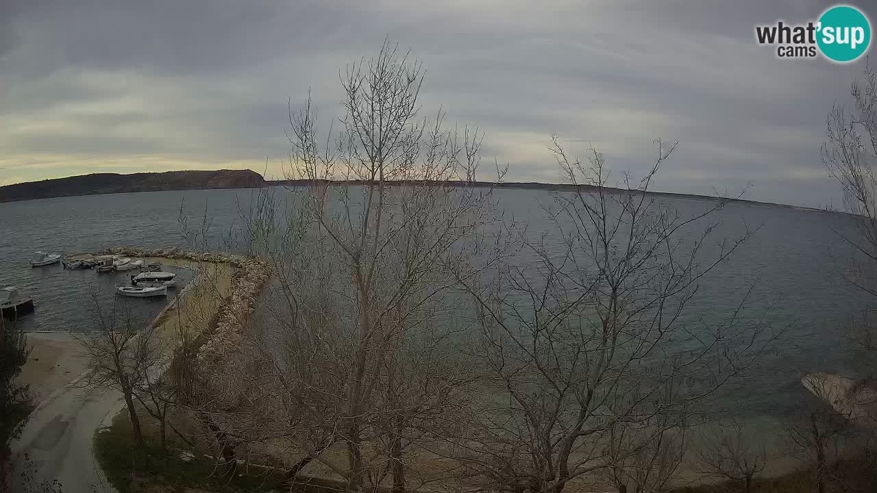 Kamp Odmoree spletna kamera Ražanac – Dalmacija