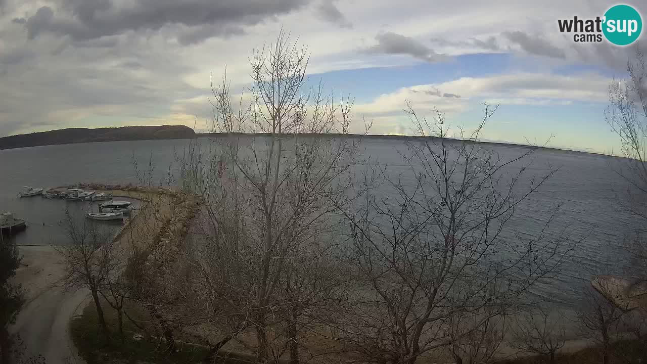 Kamp Odmoree spletna kamera Ražanac – Dalmacija