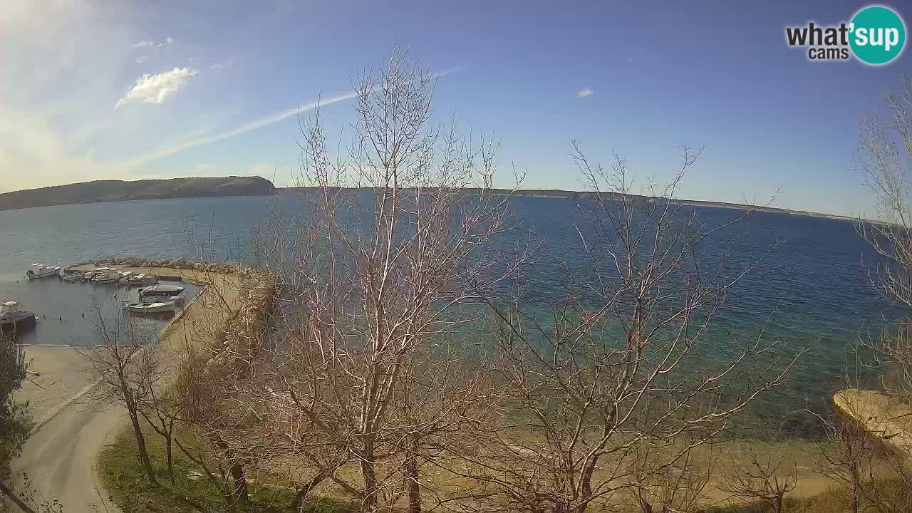 Kamp Odmoree spletna kamera Ražanac – Dalmacija