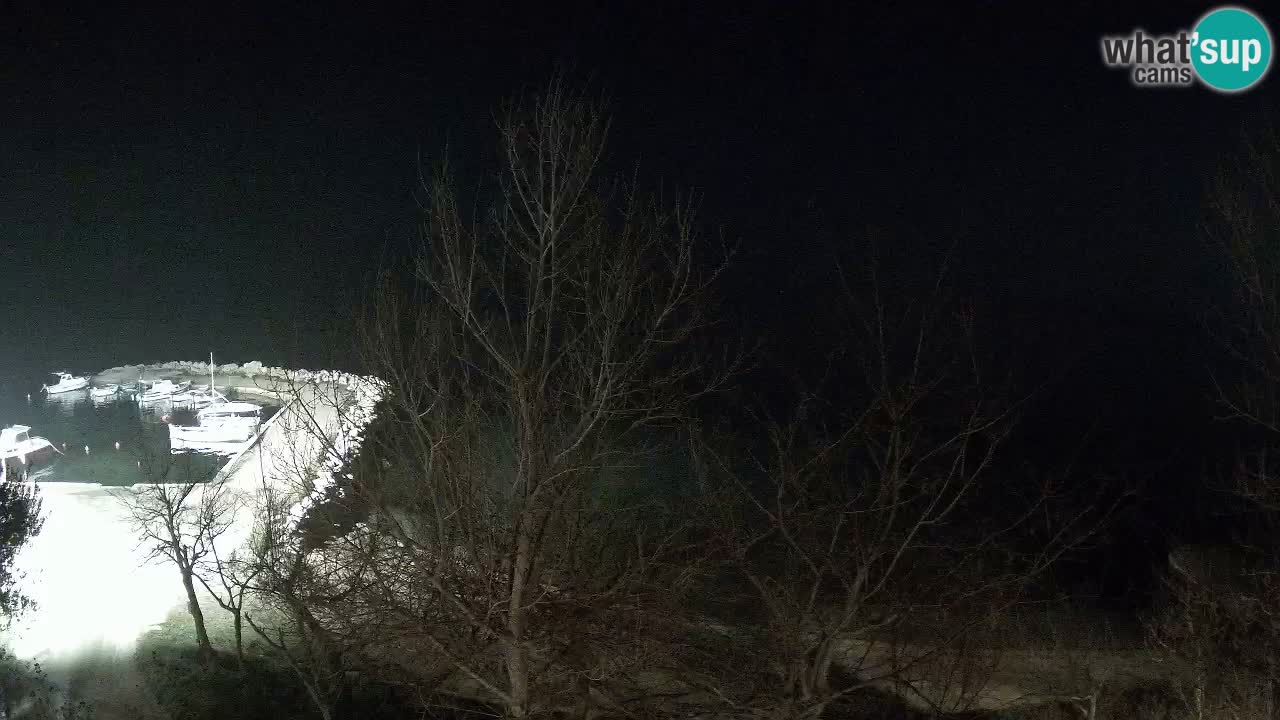 Kamp Odmoree spletna kamera Ražanac – Dalmacija