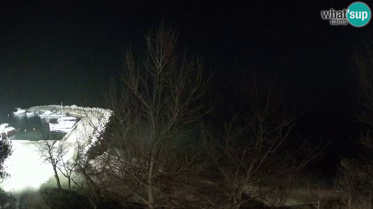 Kamp Odmoree spletna kamera Ražanac – Dalmacija