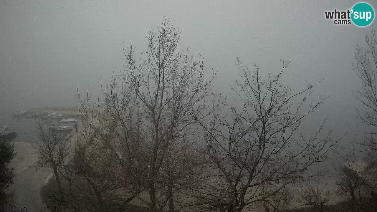 Camping Odmoree webcam Ražanac – Dalmatia