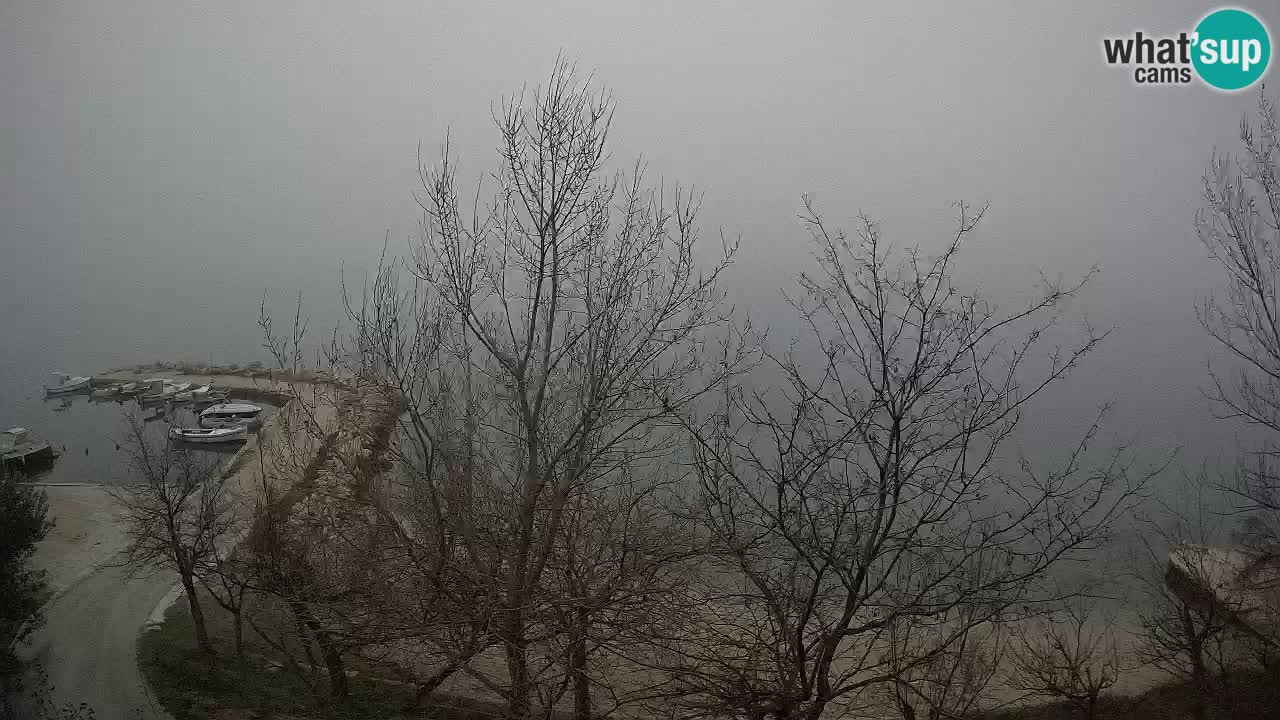 Camping Odmoree webcam Ražanac – Dalmazia