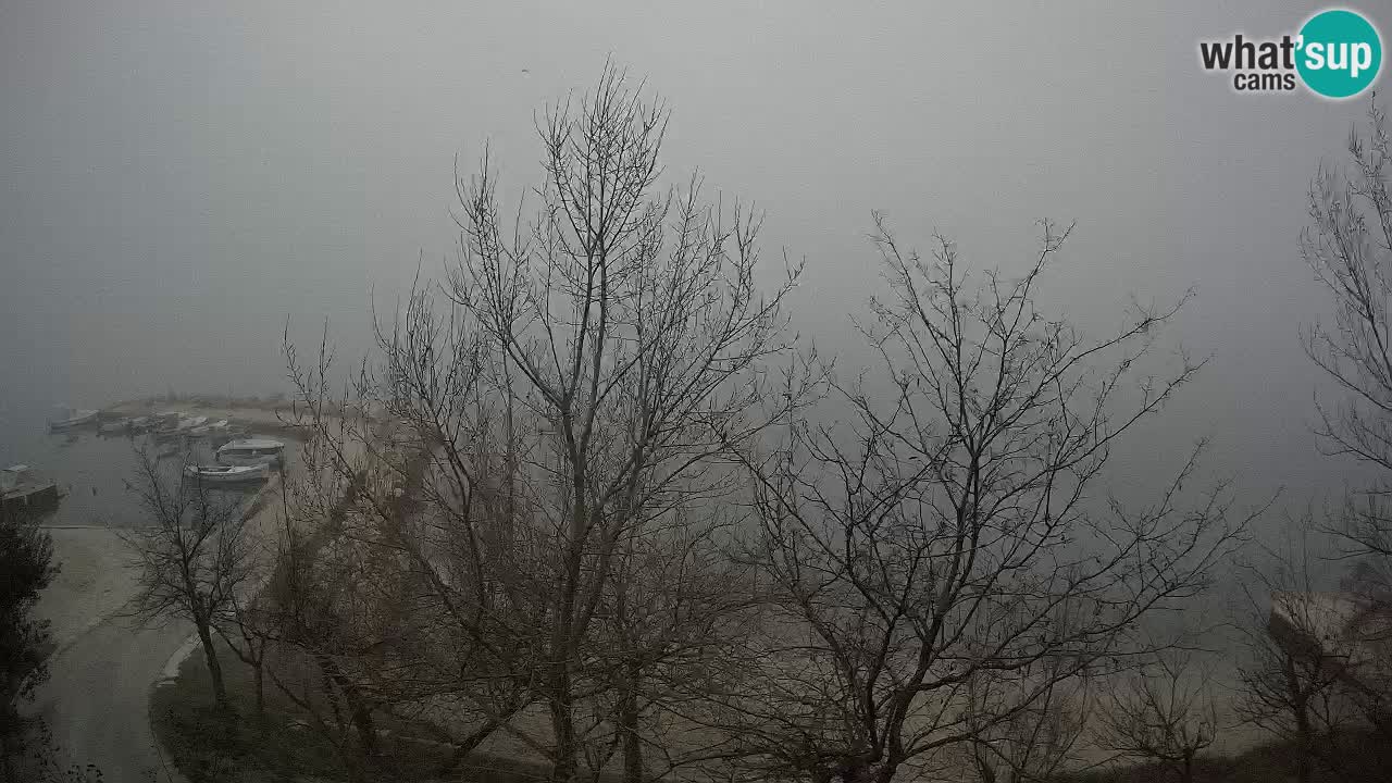 Kamp Odmoree spletna kamera Ražanac – Dalmacija