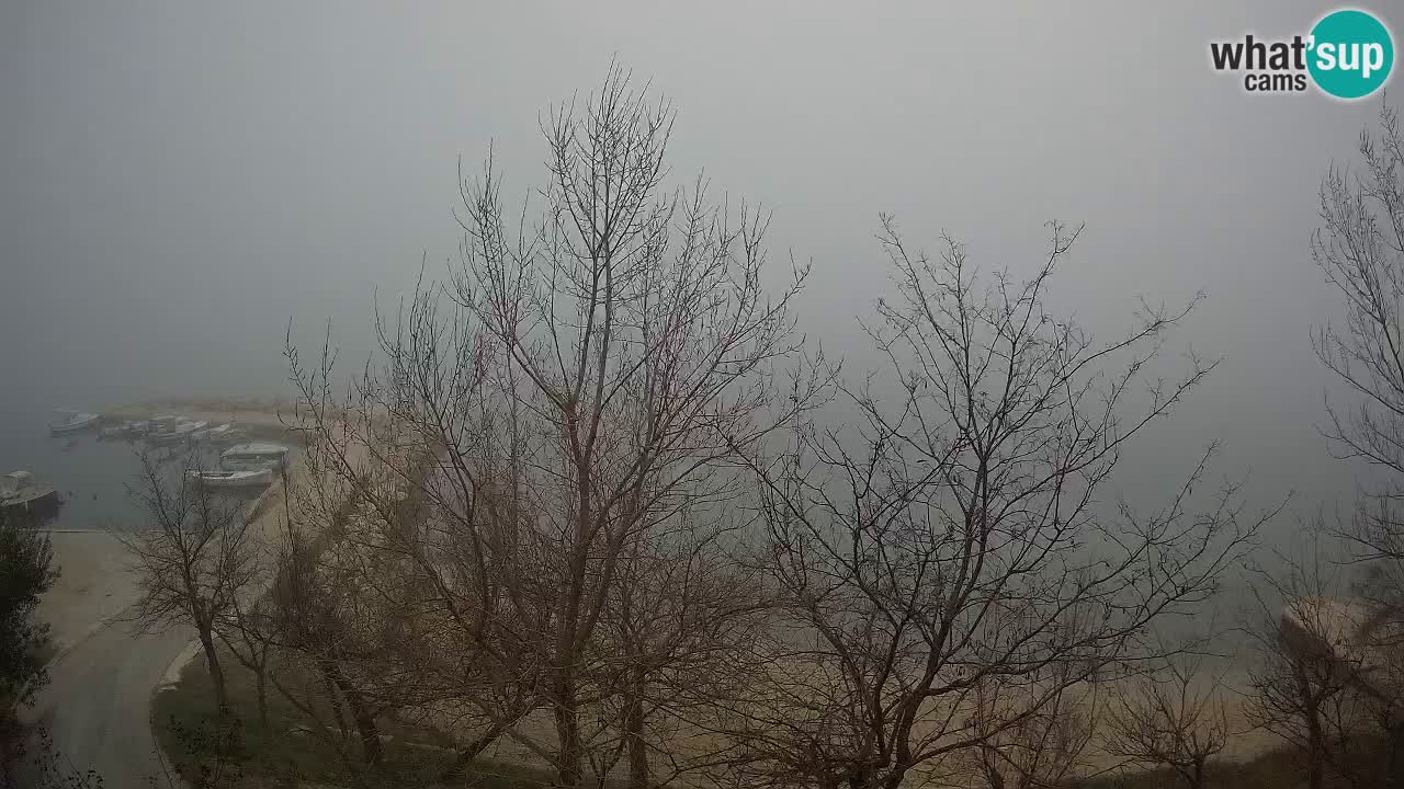 Camping Odmoree live cam Ražanac – Dalmatie