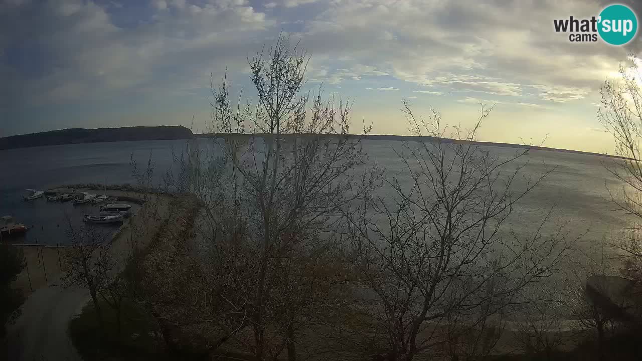 Camping Odmoree camera en vivo Ražanac – Dalmacia