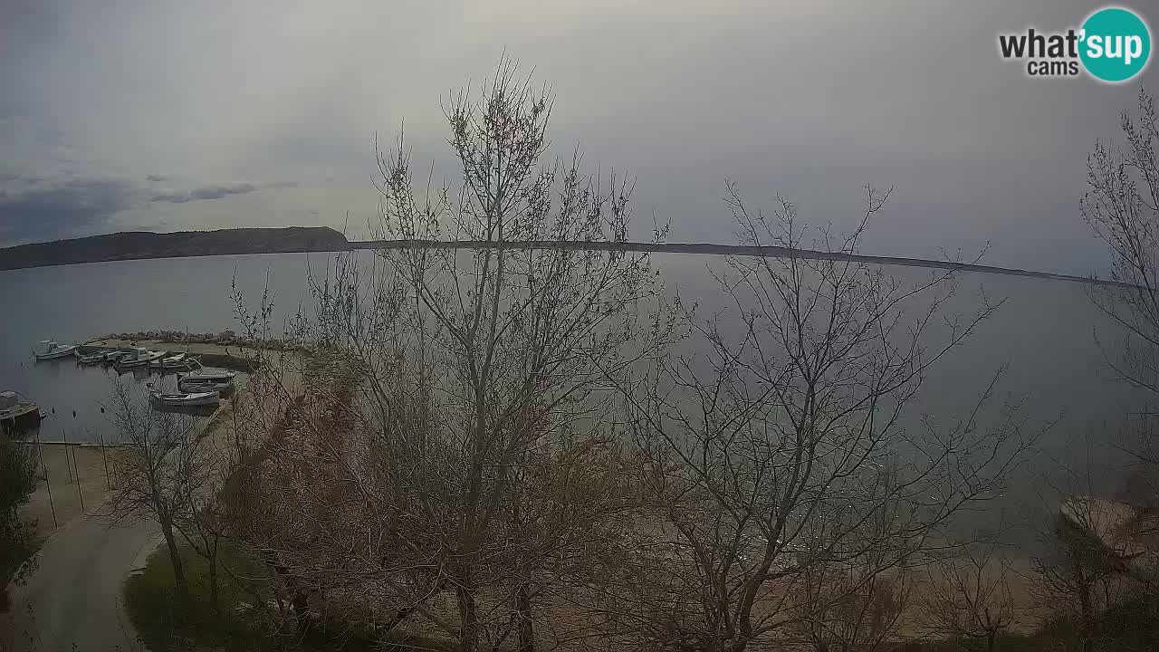 Camping Odmoree webcam Ražanac – Dalmatia