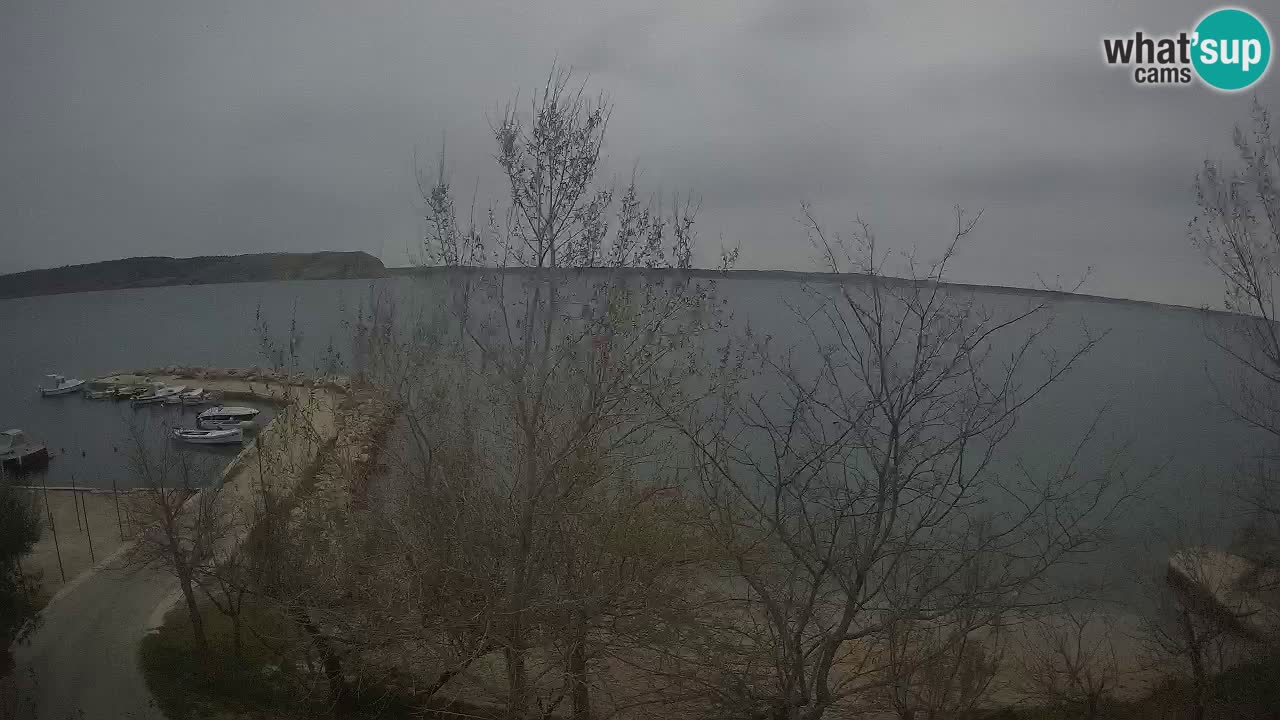 Camping Odmoree camera en vivo Ražanac – Dalmacia