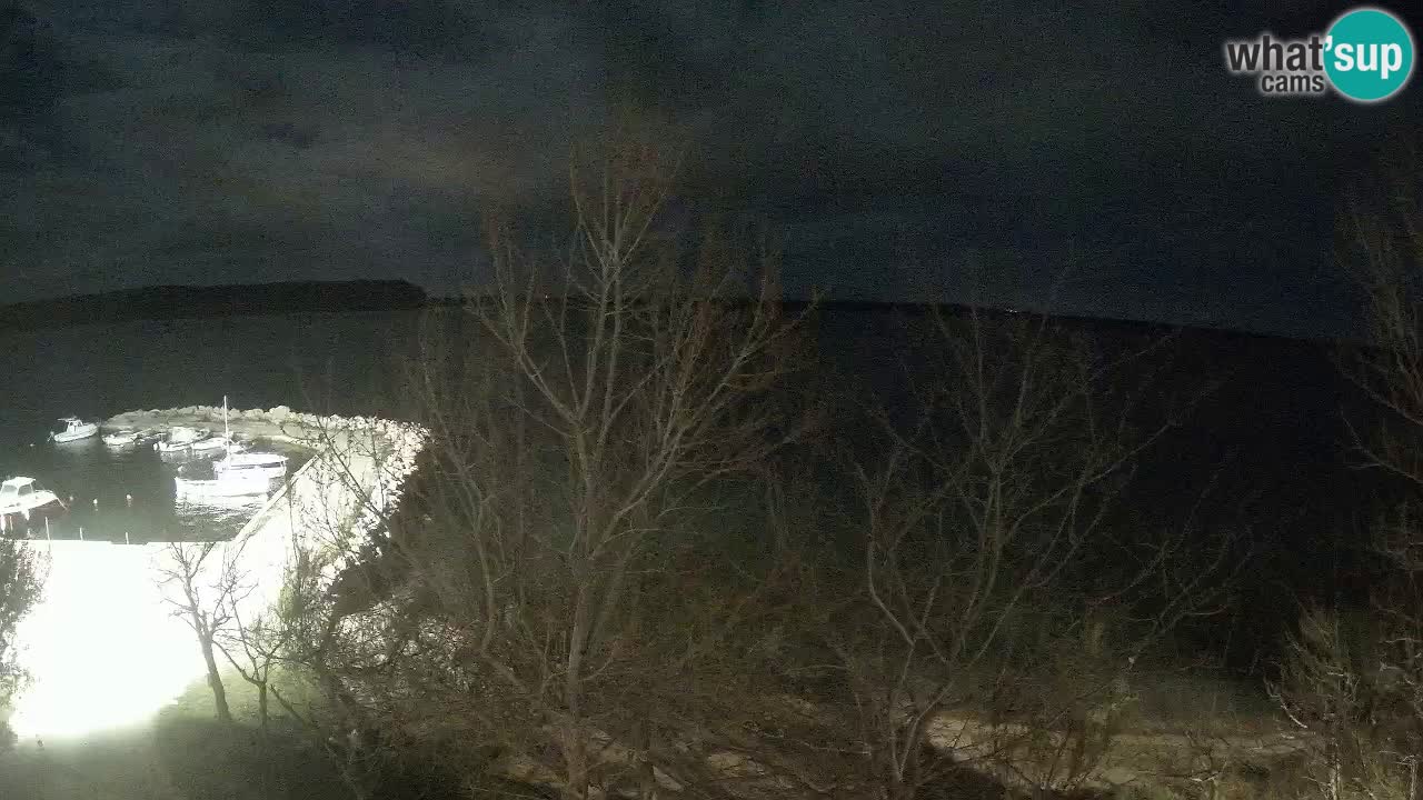 Kamp Odmoree spletna kamera Ražanac – Dalmacija