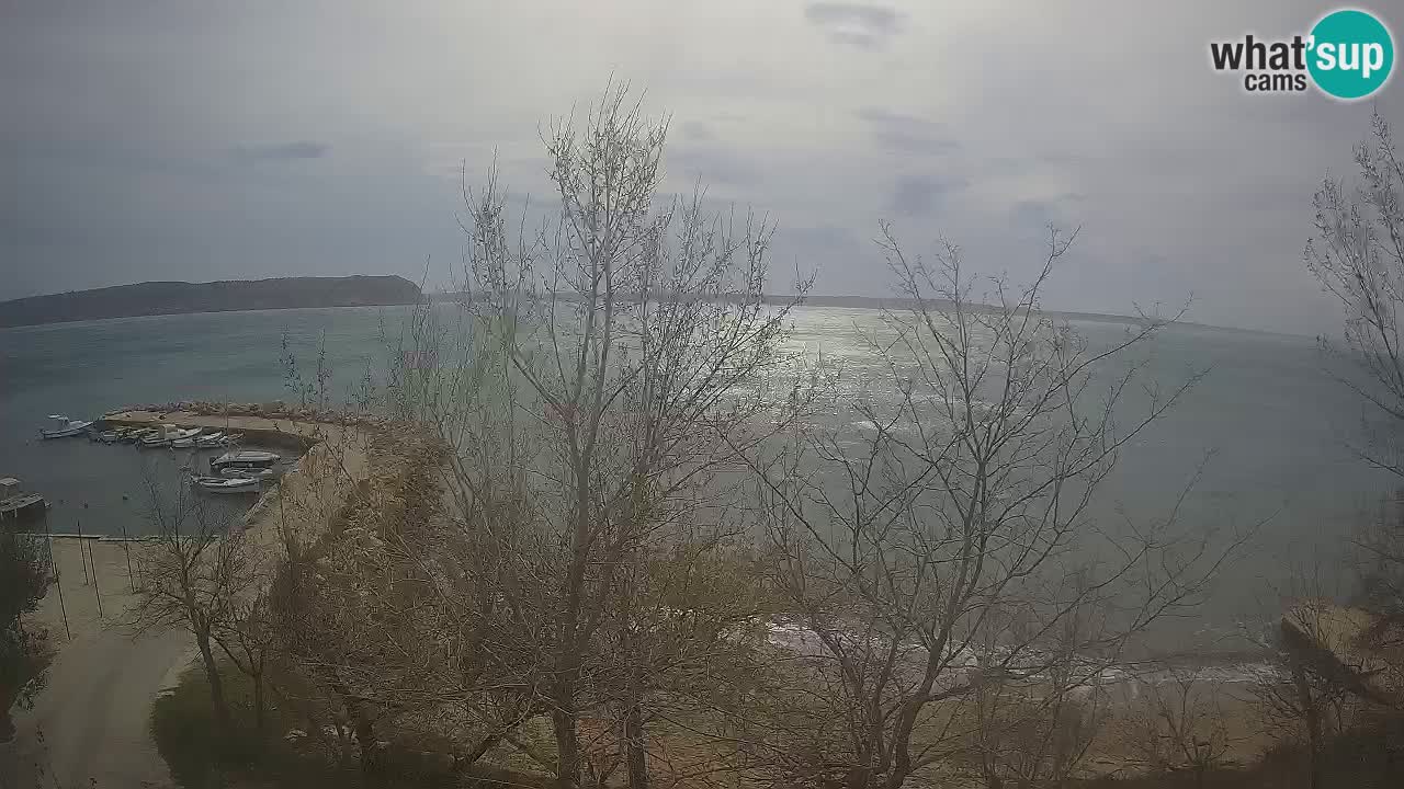 Camping Odmoree web kamera Ražanac – Dalmacija