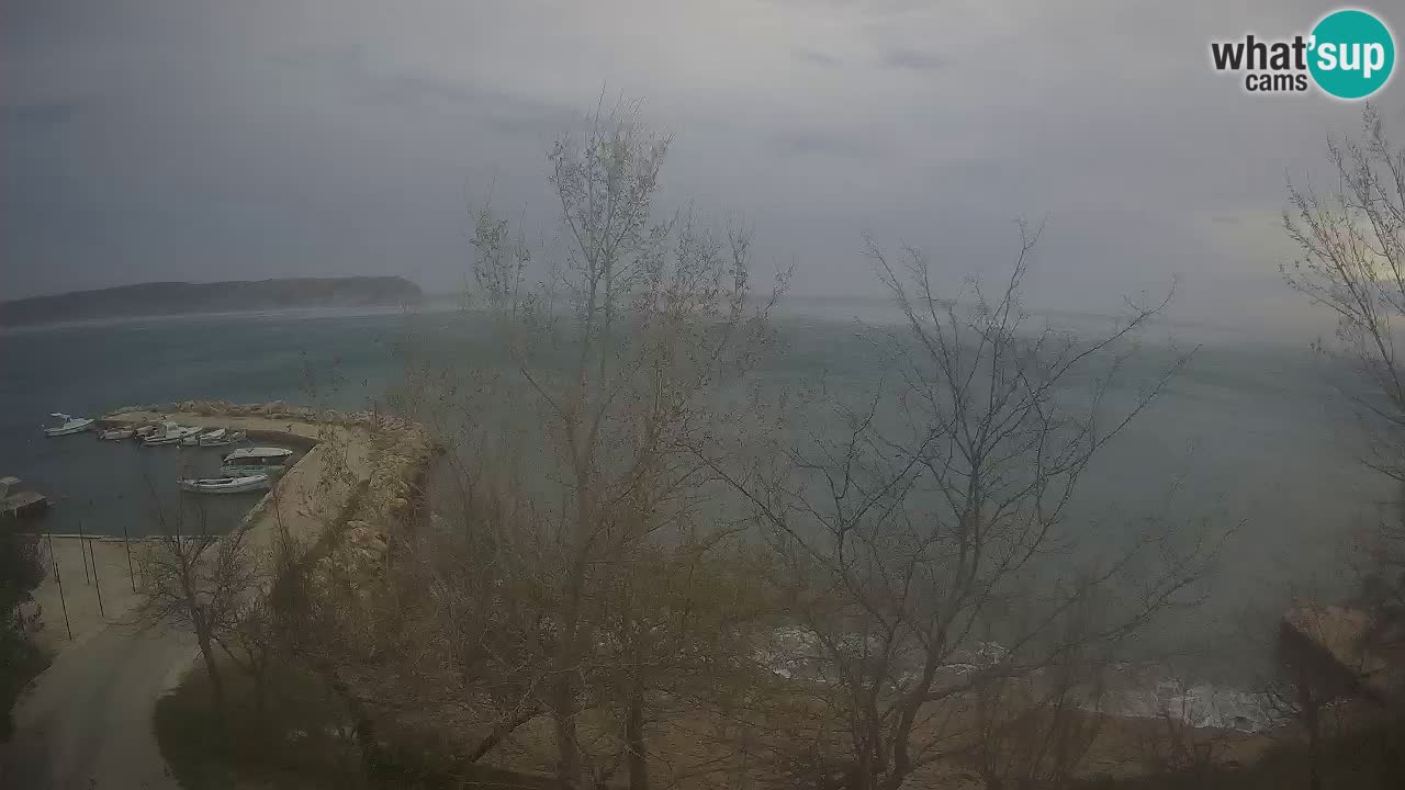 Kamp Odmoree spletna kamera Ražanac – Dalmacija