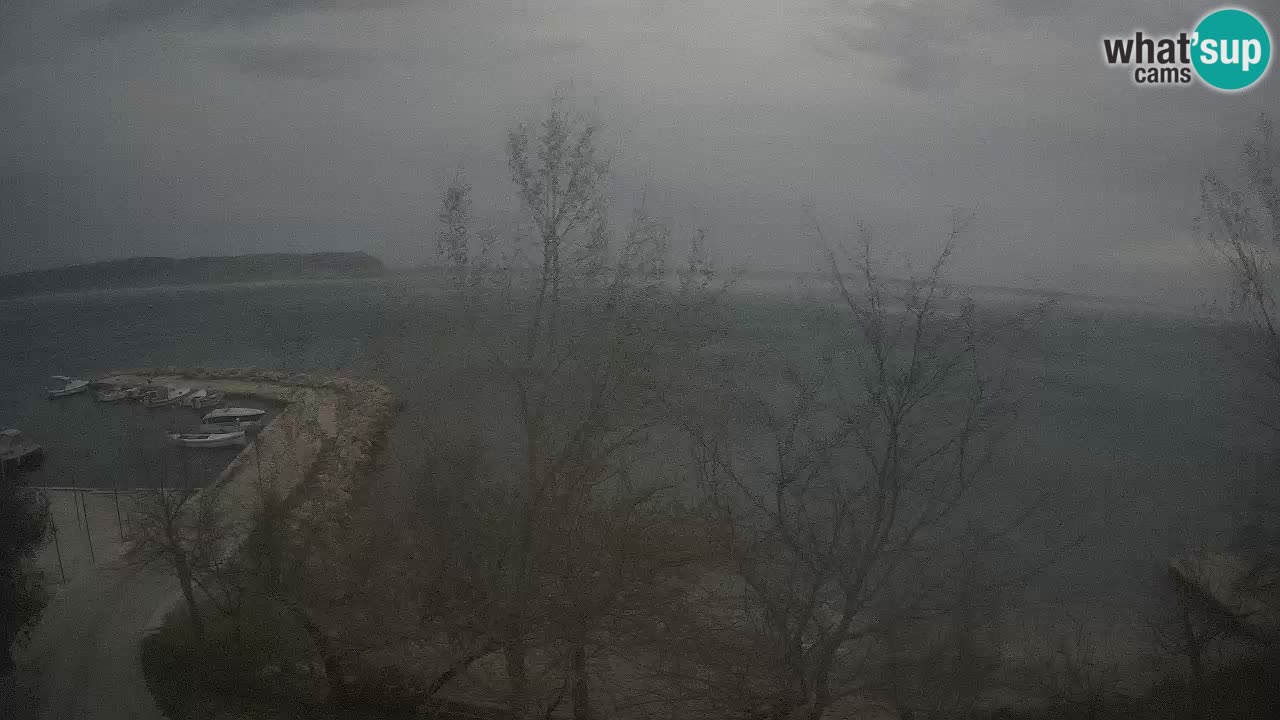 Kamp Odmoree spletna kamera Ražanac – Dalmacija