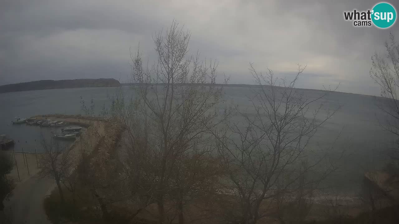 Kamp Odmoree spletna kamera Ražanac – Dalmacija