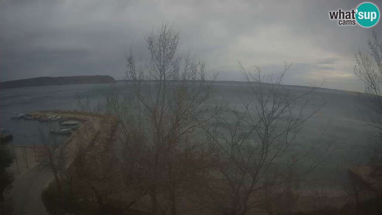 Kamp Odmoree spletna kamera Ražanac – Dalmacija