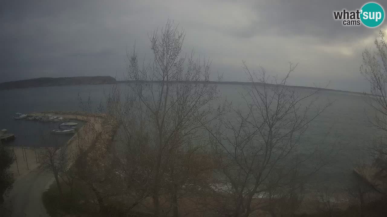 Kamp Odmoree spletna kamera Ražanac – Dalmacija