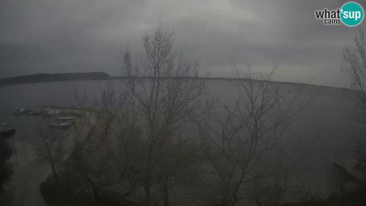 Kamp Odmoree spletna kamera Ražanac – Dalmacija