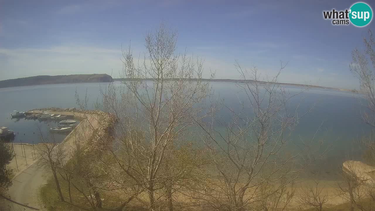 Kamp Odmoree spletna kamera Ražanac – Dalmacija