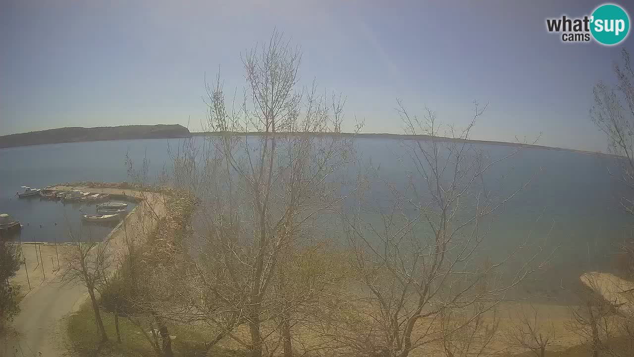 Camping Odmoree web kamera Ražanac – Dalmacija