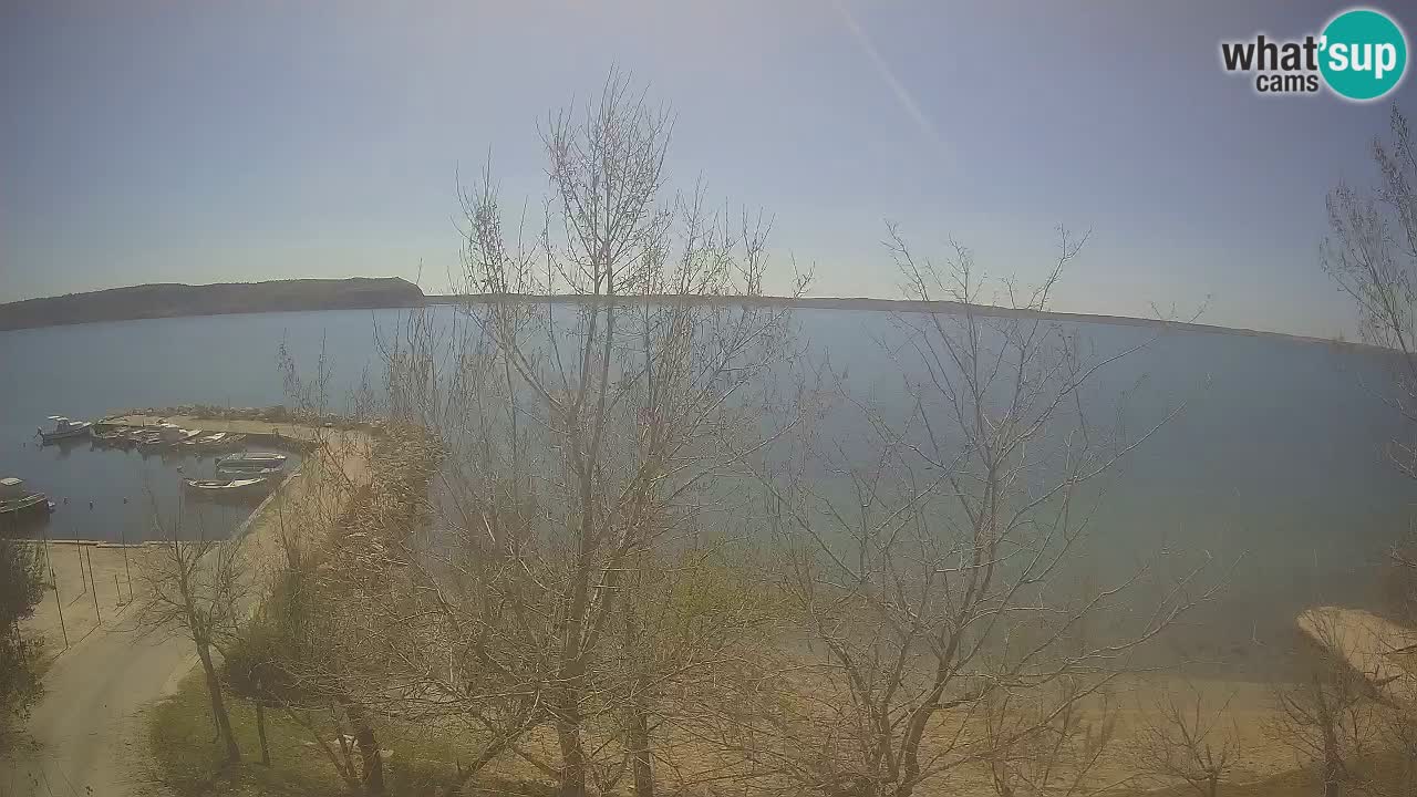 Camping Odmoree web kamera Ražanac – Dalmacija