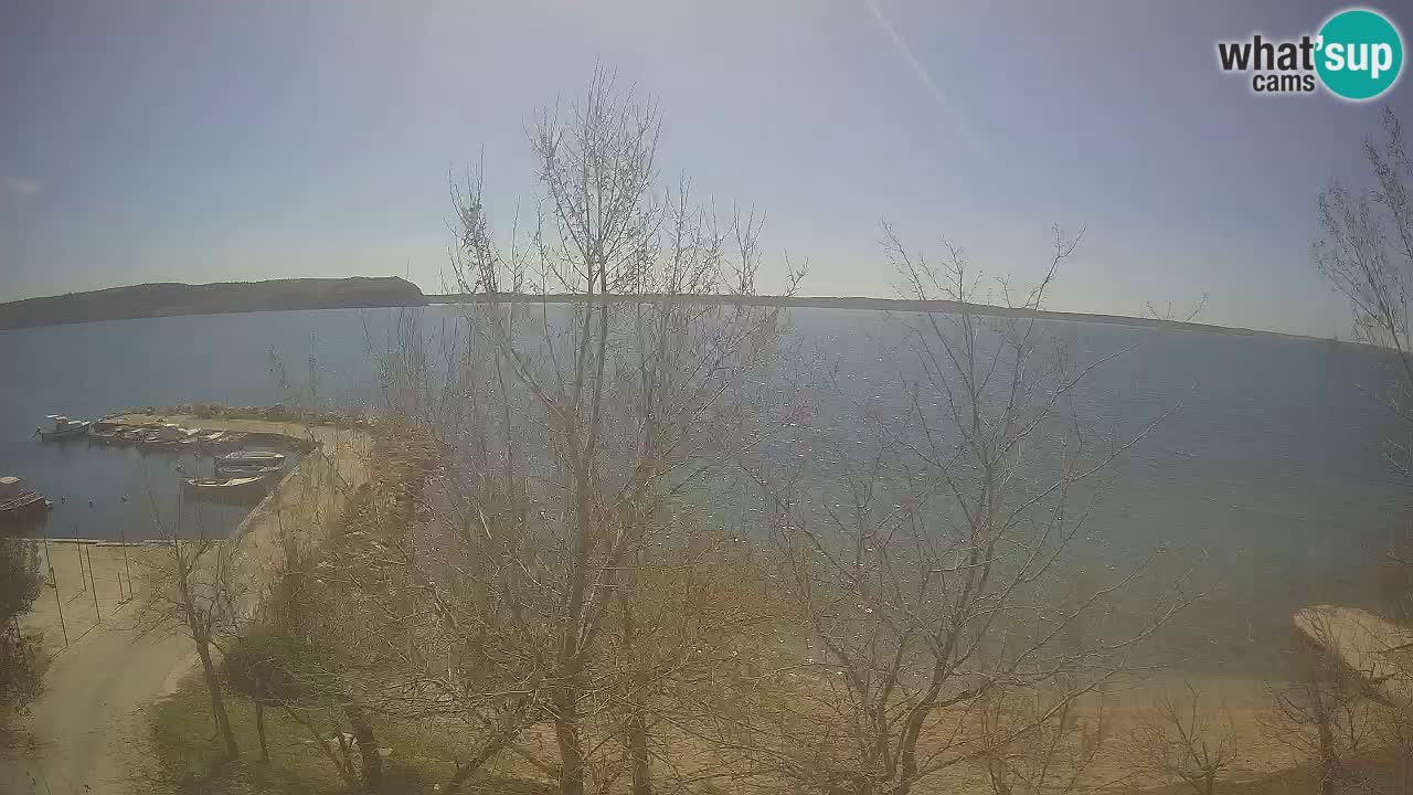 Kamp Odmoree spletna kamera Ražanac – Dalmacija