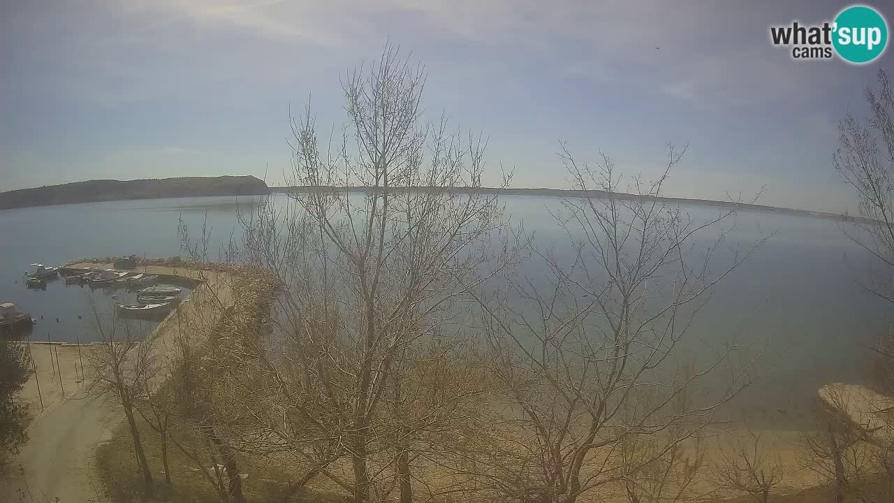 Camping Odmoree camera en vivo Ražanac – Dalmacia