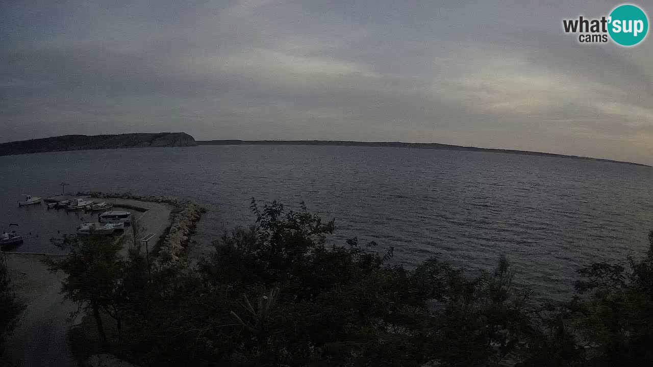 Kamp Odmoree spletna kamera Ražanac – Dalmacija
